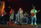 rockinflamingo_small.jpg